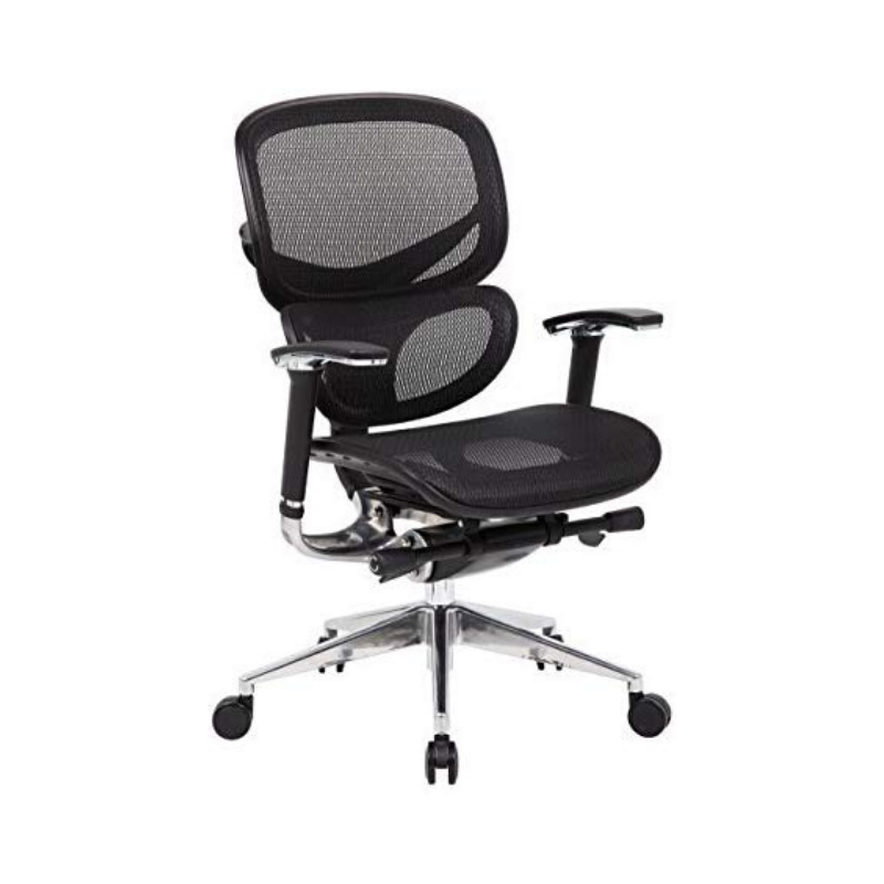 Ergomax Multi-Function Mesh Ergonomic Desk Chair