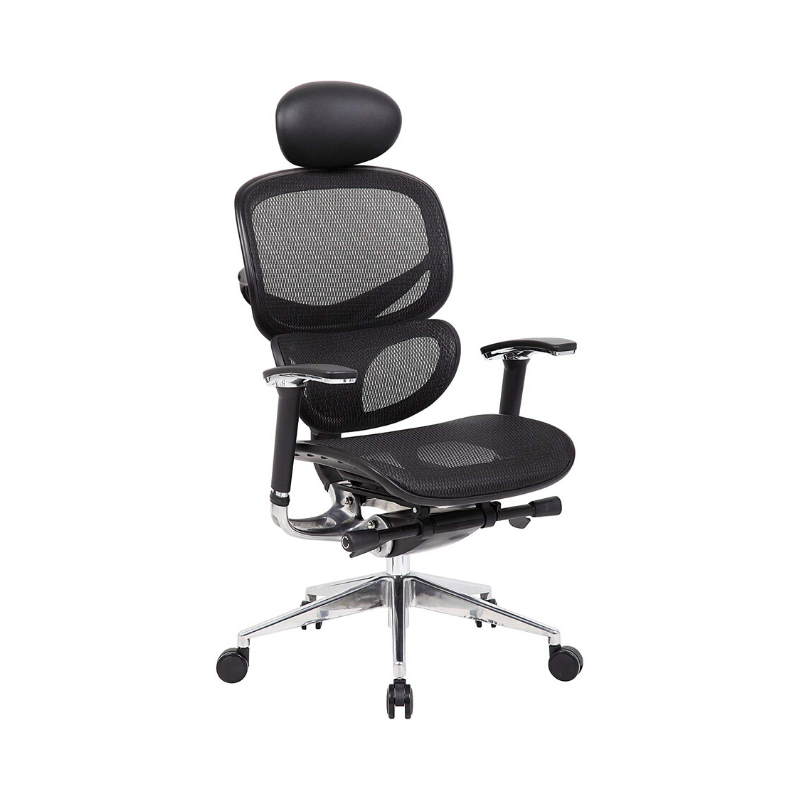 Ergomax Multi-Function Mesh Ergonomic Desk Chair