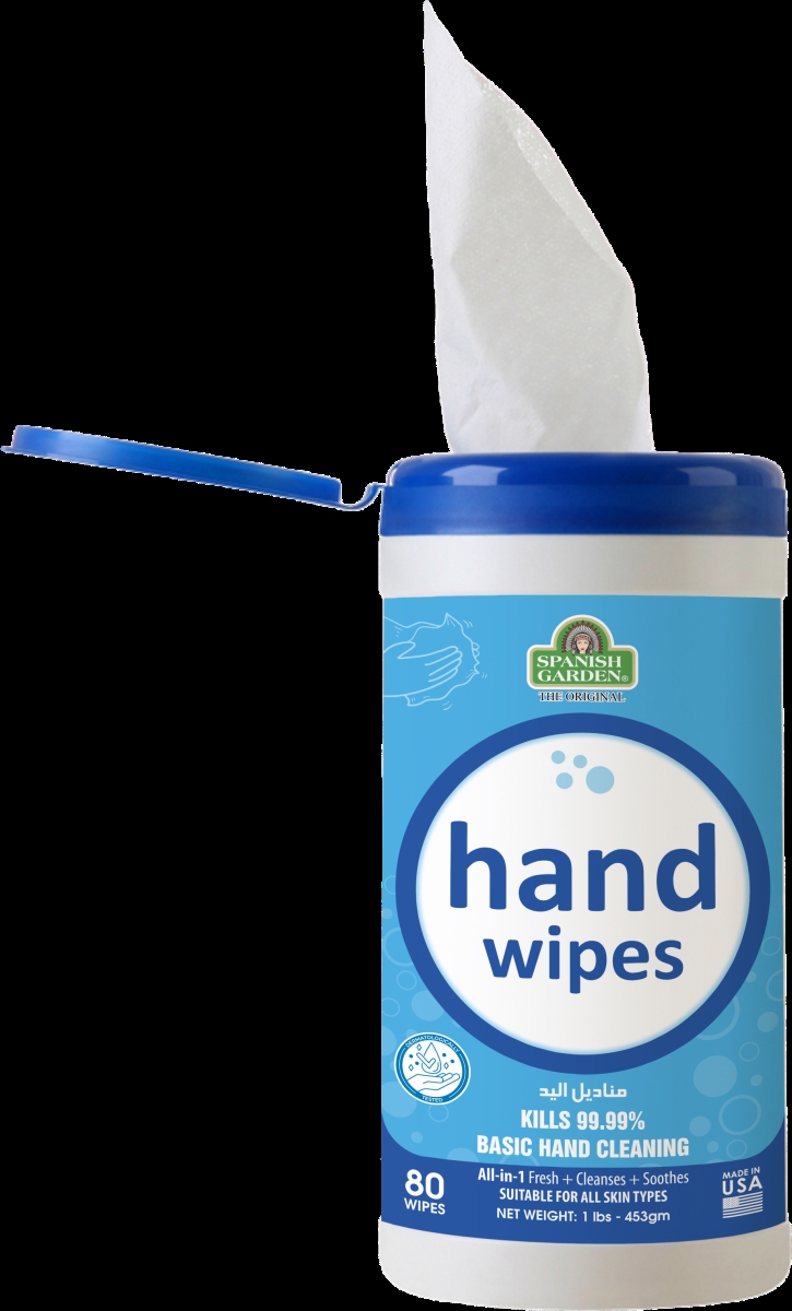 22538  22538 Hand Wipes ,80ct
