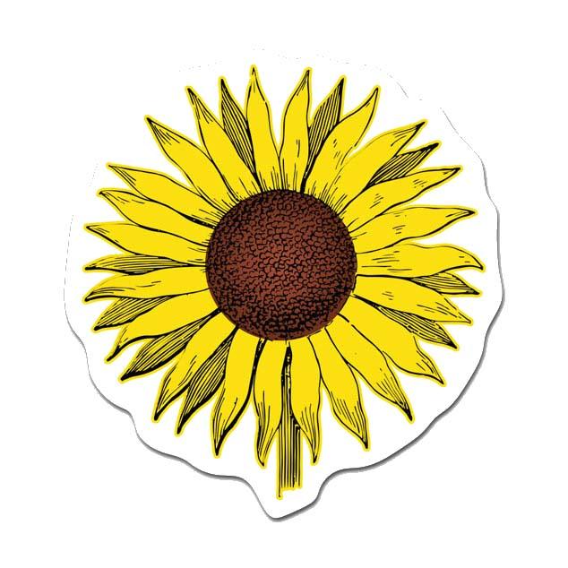 Picture of MightySkins RD-12-99676 Sunflower 12 in. Peel & Stick Wall Art - Removable Cute Stylish Funny Cartoon Dorm Room Decor Sticker Vinyl Wall Decals