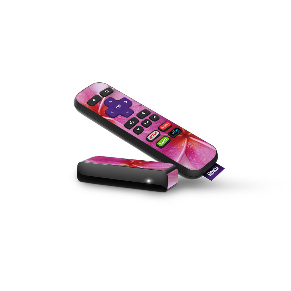 ROEXP-Flowers Skin for Roku Express Remote - Flowers -  MightySkins