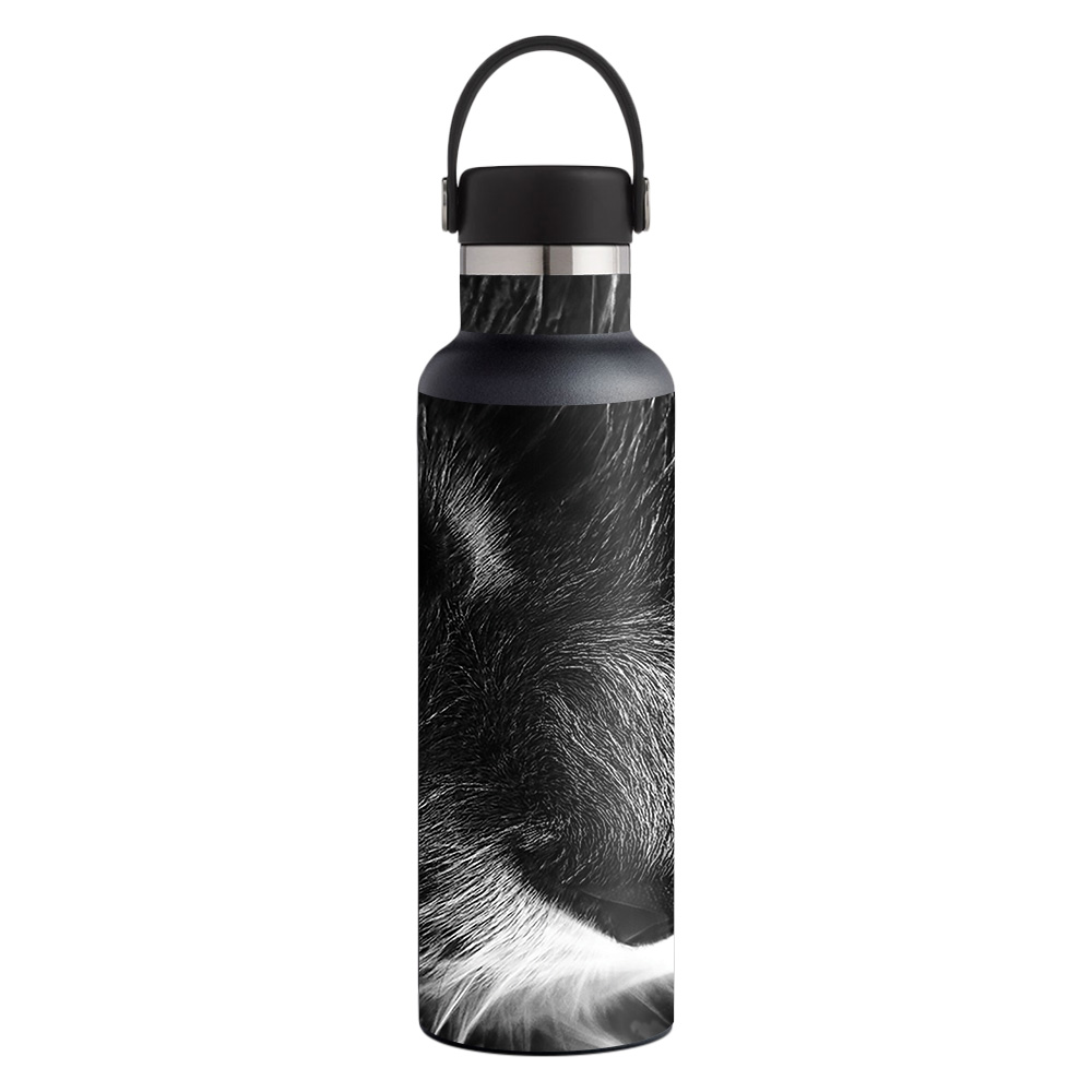 Picture of MightySkins HFST21-Cat Skin for Hydro Flask 21 oz Standard Mouth - Cat