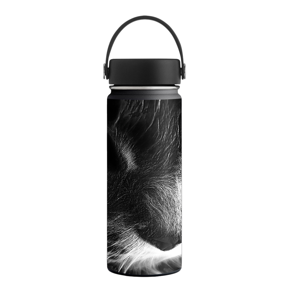Picture of MightySkins HFWI18-Cat Skin for Hydro Flask 18 oz Wide Mouth - Cat