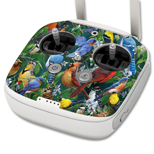 DJPH3PROCO-Backyard Gathering Skin for DJI Phantom 3 Professional Drone Controller - Backyard Gathering -  MightySkins