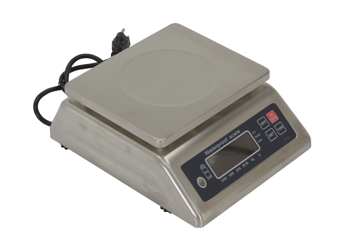 SSDSC-13 Stainless Steel Parts Scale, 13 lbs