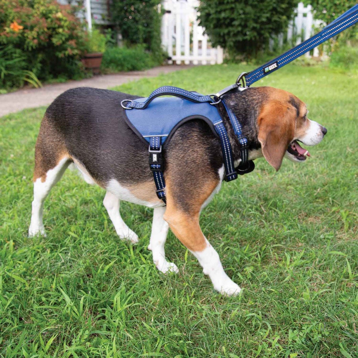 Reflective Harness, 16 to 25 in, Fastening Method: O-Ring Strap, Nylon Harness