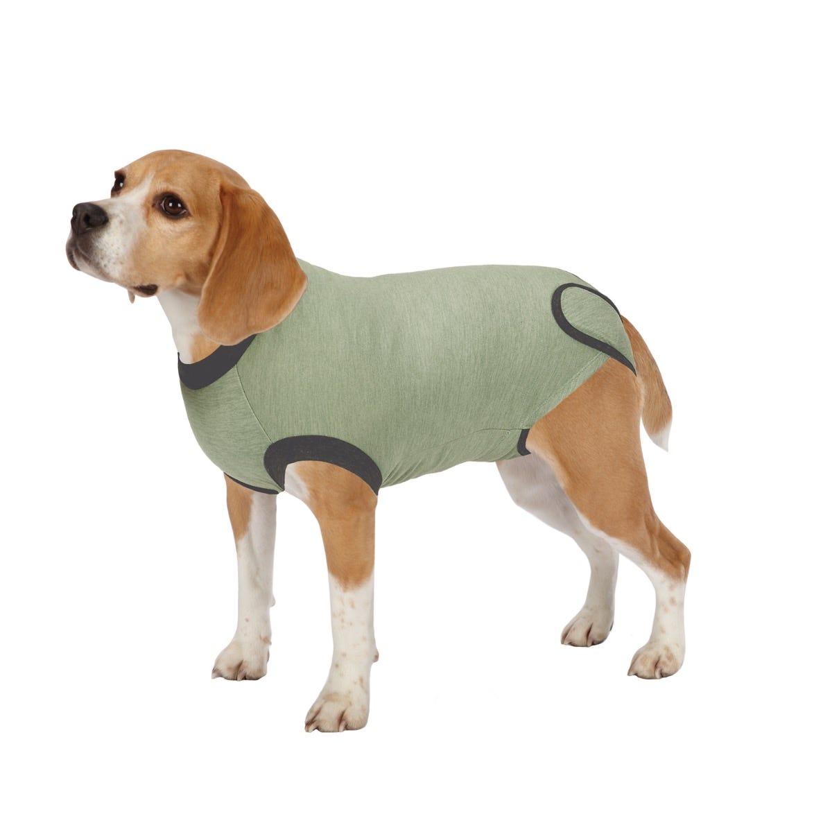Picture of PetEdge TP2375 43 12 Total Pet Health Recovery Suit - Small