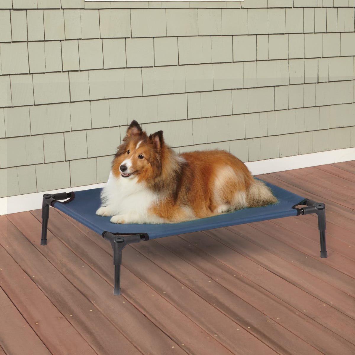 Picture of PetEdge ZW9023 16 19 Guardian Gear Pet Cot&#44; Blue - Medium