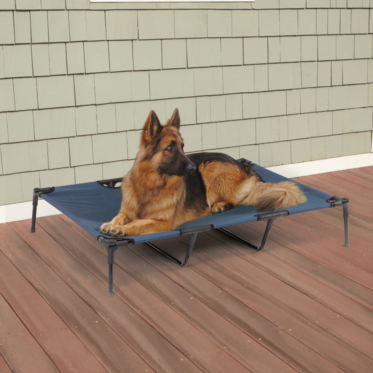 ZW9023 24 19 Guardian Gear Pet Bed Cot, Blue - Extra Large