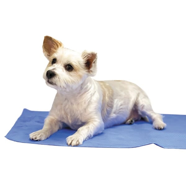 TP2086 19 Top Performance Drying & Cooling Dog Grooming Towel, Blue