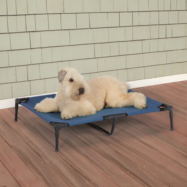 ZW9023 20 19 Guardian Gear Pet Cot, Blue - Large