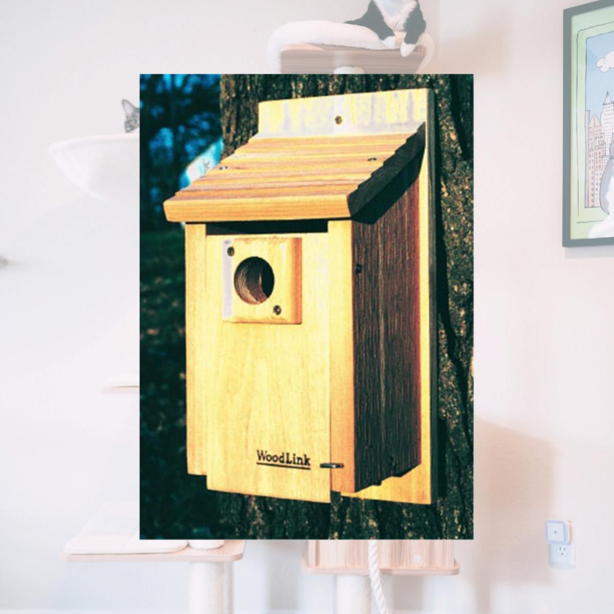 Picture of WoodLink BB3 15 in. Traditional Bluebird House