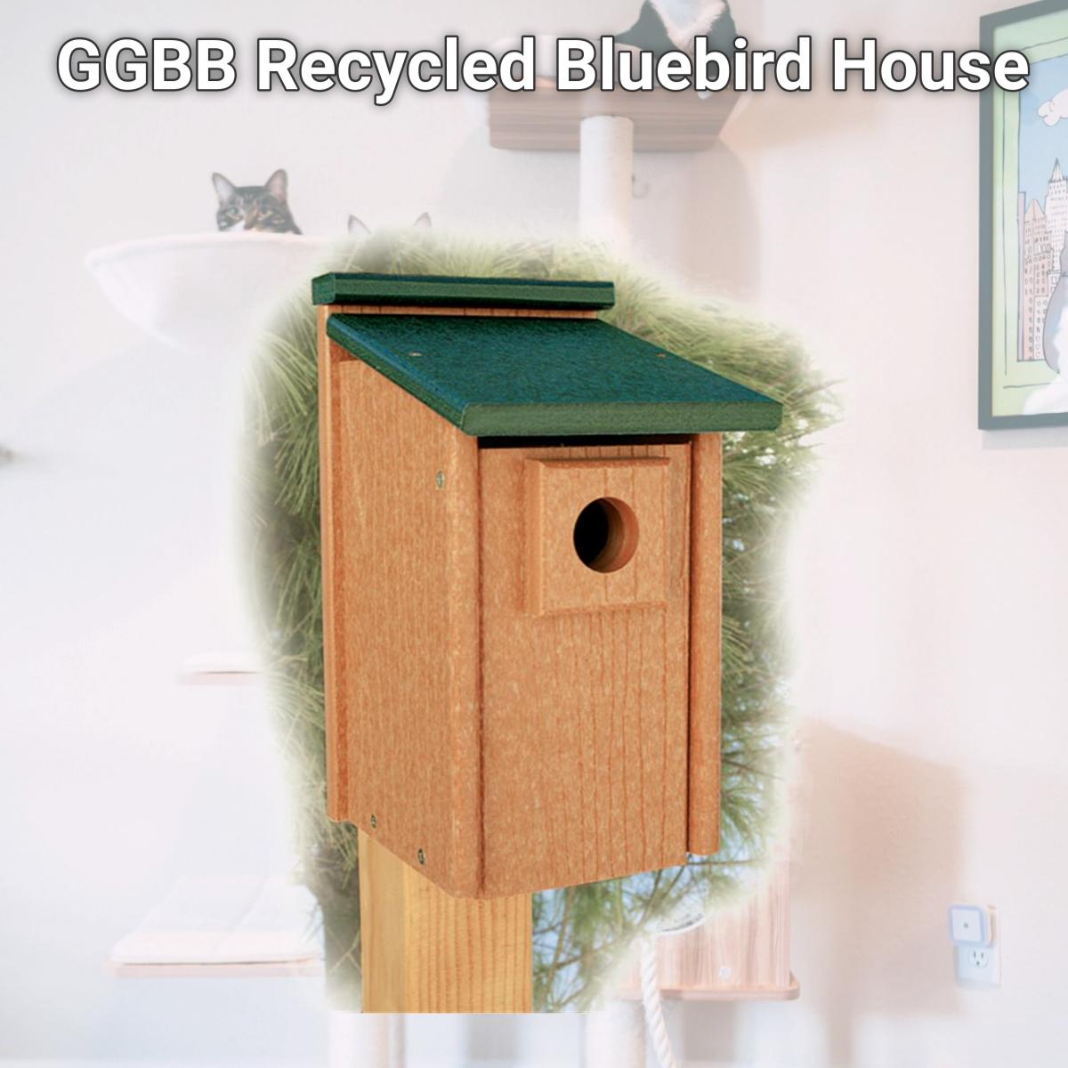 Picture of WoodLink GGBB Recycled Bluebird House