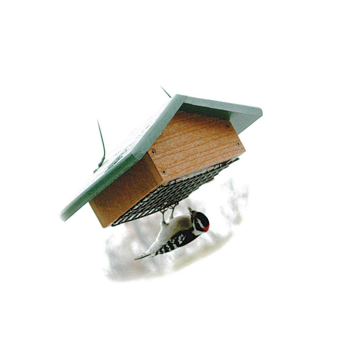 Picture of WoodLink GGSBF Upside Down Suet Feeder