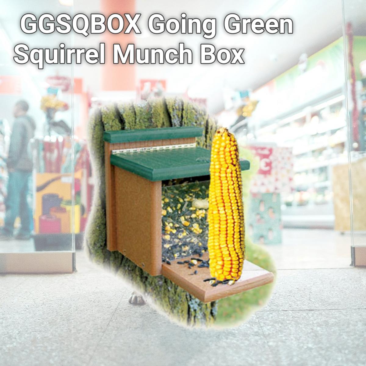 Picture of WoodLink GGSQBOX Going Green Squirrel Munch Box