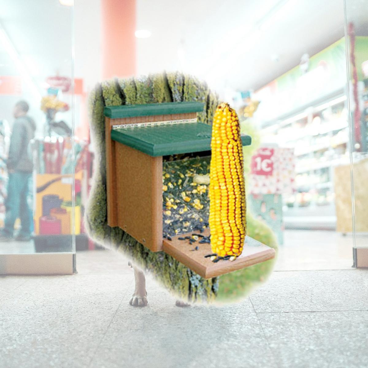 Picture of WoodLink GGSQBOX Going Green Squirrel Munch Box