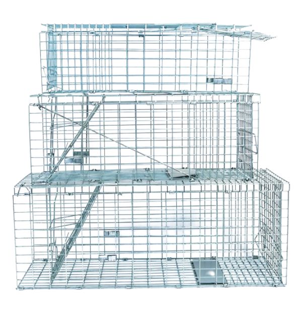 Collapsible Live Trap - Small