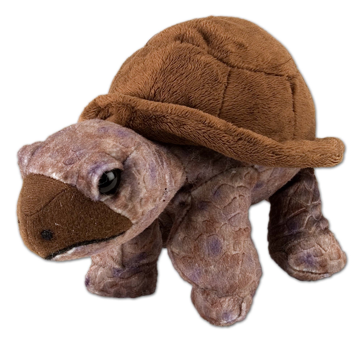 10894 8 in. Tortoise Stuffed Animal Plush Toy