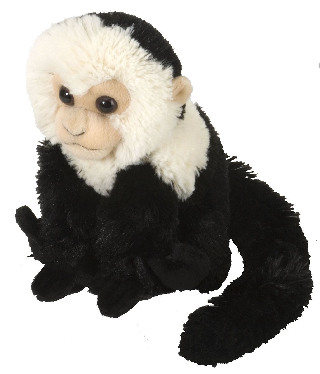 Capuchin Monkey Plush Toy - Black & White - 8 in. - Soft & Cuddly