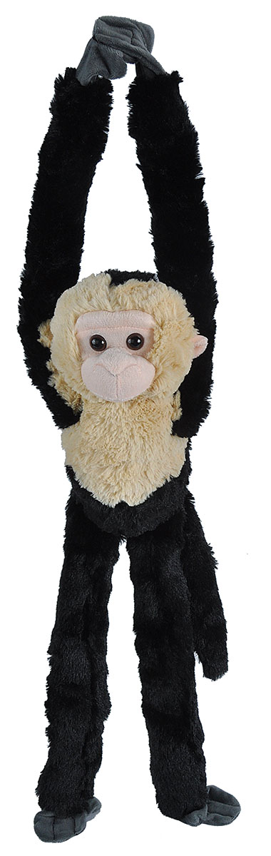 23483 20 in. Hanging Monkey Capuchin Stuffed Animal Plush Toy