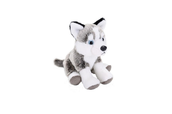 26632 12 in. CK Husky II Animal Plush Toy