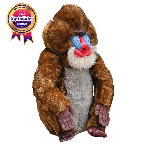 27433 15 in. Artist Mandrill Plush Toy