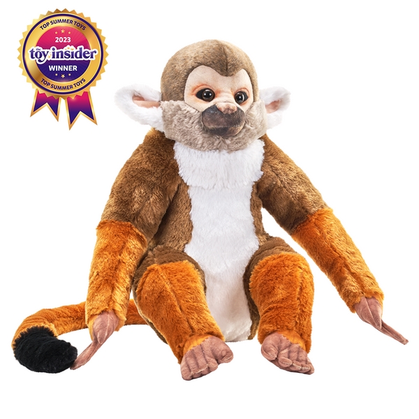 27441 15 in. Artist Squirrel Monkey Plush Toy