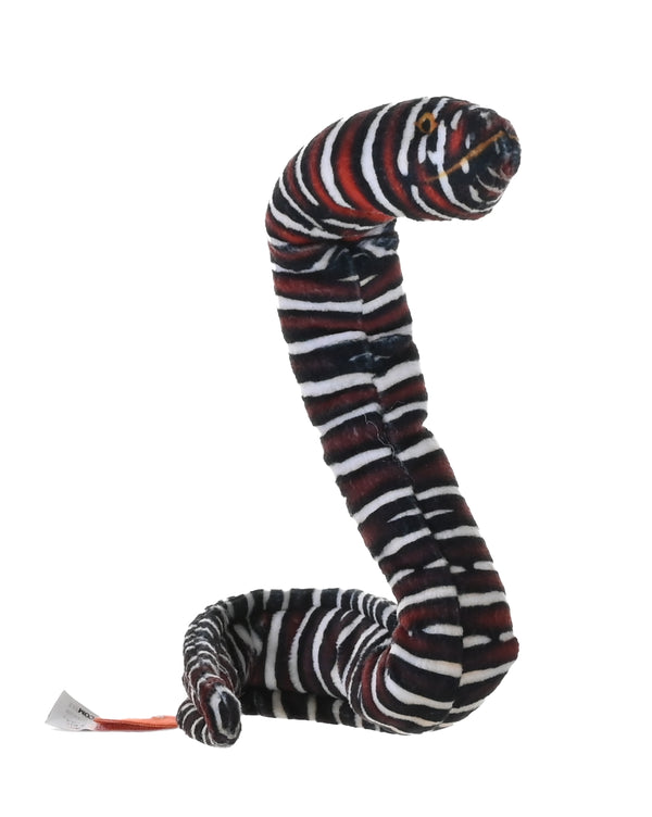 28420 12 in. Coilkins Zebra Moray Eel Stuffed Animal Plush Toy
