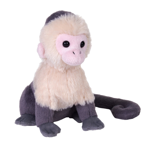 28462 6 in. Rainforest Splendors White Faced Capuchin Stuffed Animal Plush Toy