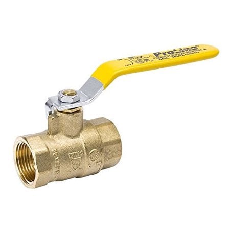 B&K 107-813NL 0.5 in.  Threaded Ball Valve