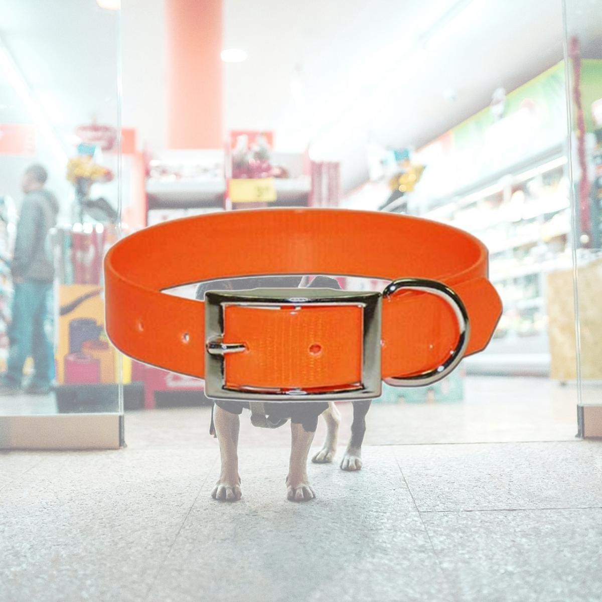 Picture of Leather Brothers 100DOR19 Sunglo Collar - 1 x 19 in.
