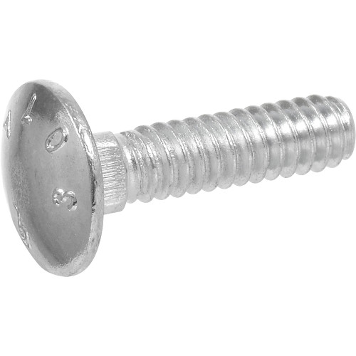 0.25 x 1.5 in. Carriage Bolt - 100 Count