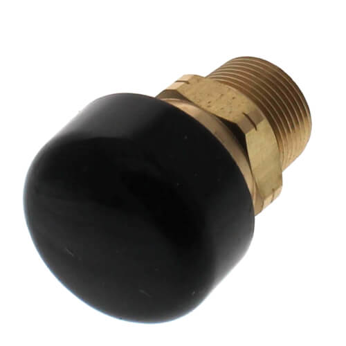 22398LF 0.75 in. Vacuum Relief Valve with Dust Cover