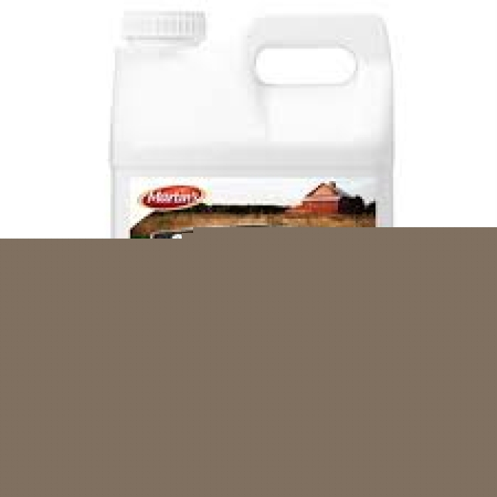 2.5 gal Amine - Pack of 2