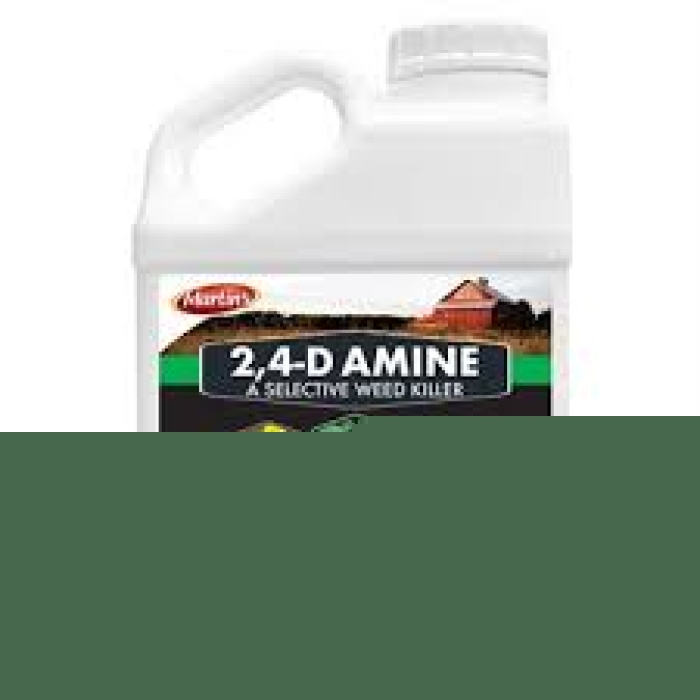 24D Amine, 1 gal - Pack of 4
