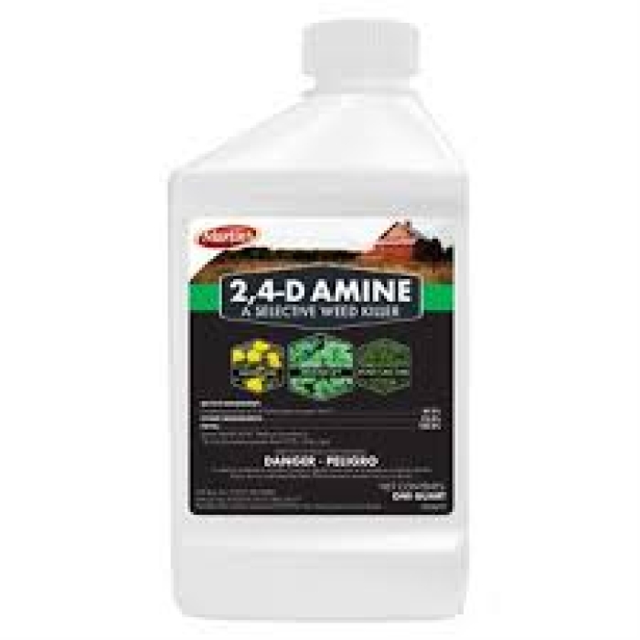 24D Amine, 1 qt. - Pack of 6