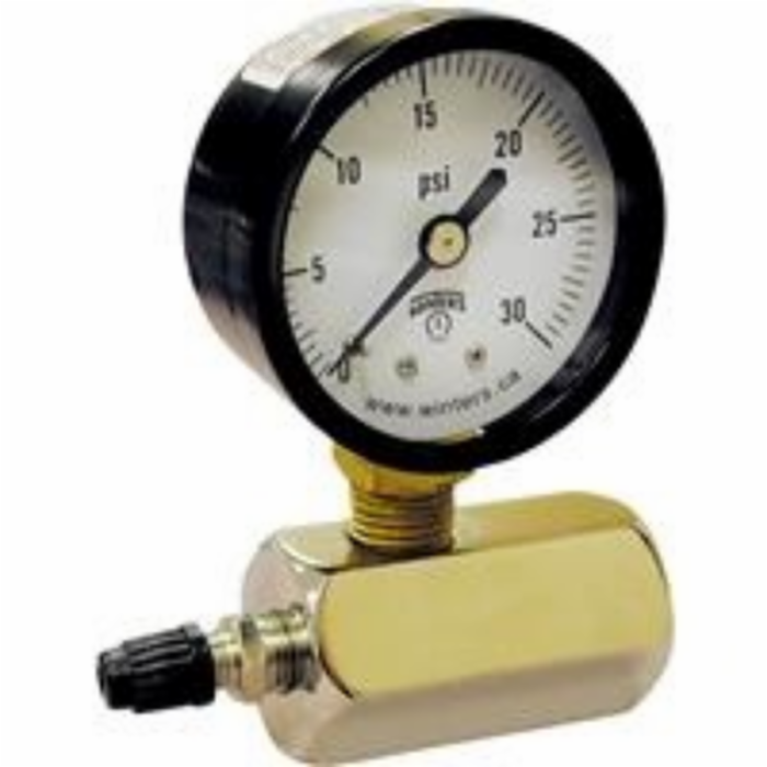 Gauge Gas Test - 100 PSI
