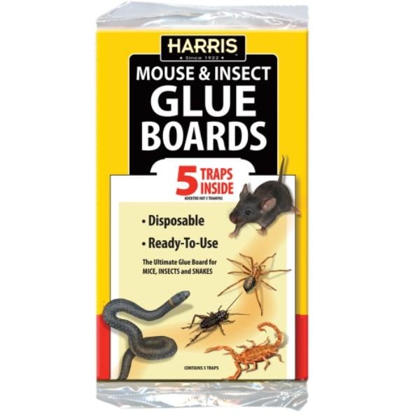 Glue Boards for Insects & Mice - Pack of 5