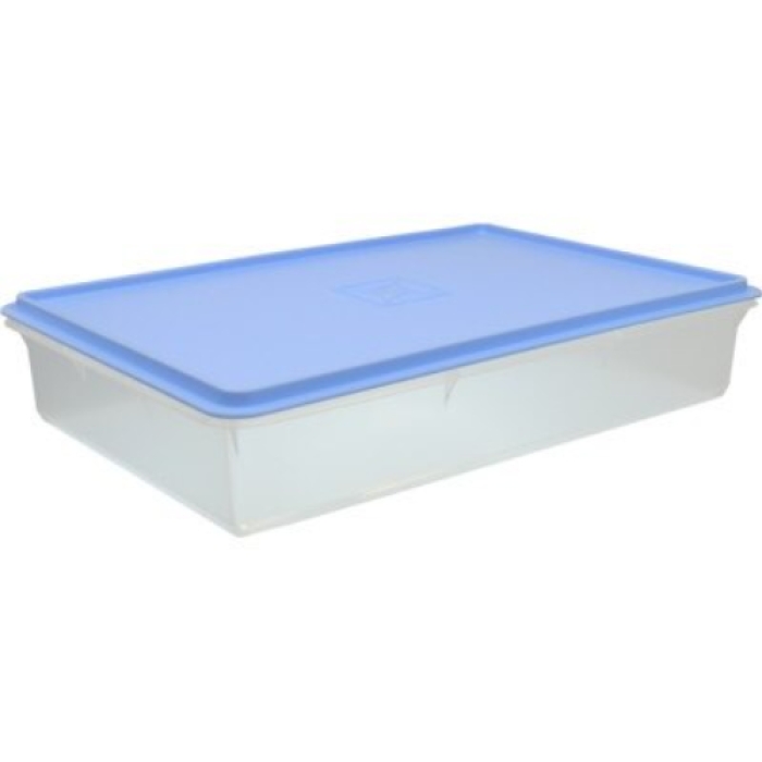 Picture of Quality Plastics QP1565-24 14 x 9 x 3 in. Kitchen Master Storage Container with Lid, Aqua