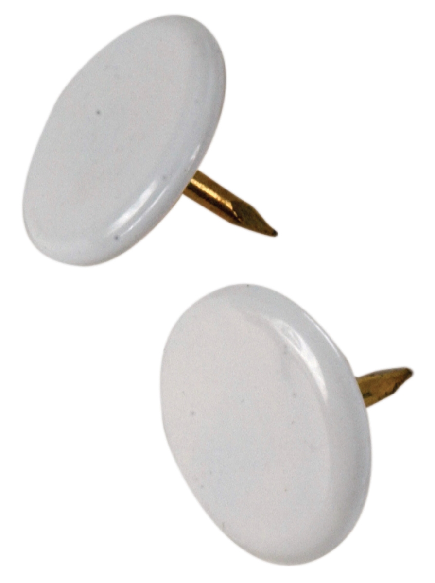 Thumb Tacks, White - Pack of 40