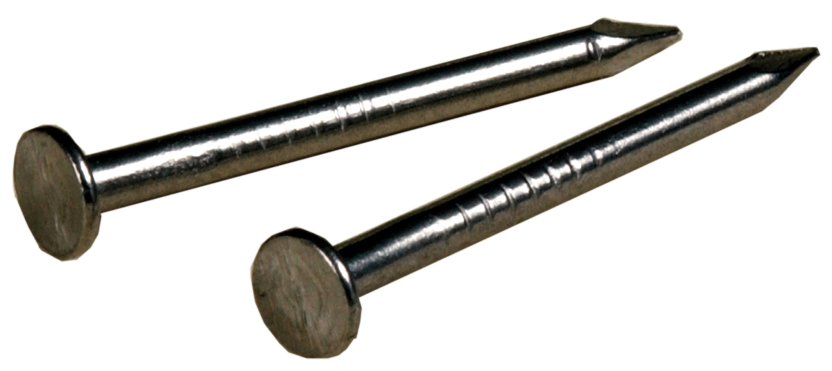 Wire Nails, 1 x 16 6 in. - 2 oz