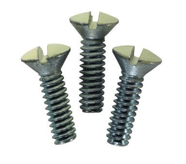 Screws Wallplate - 10 Count