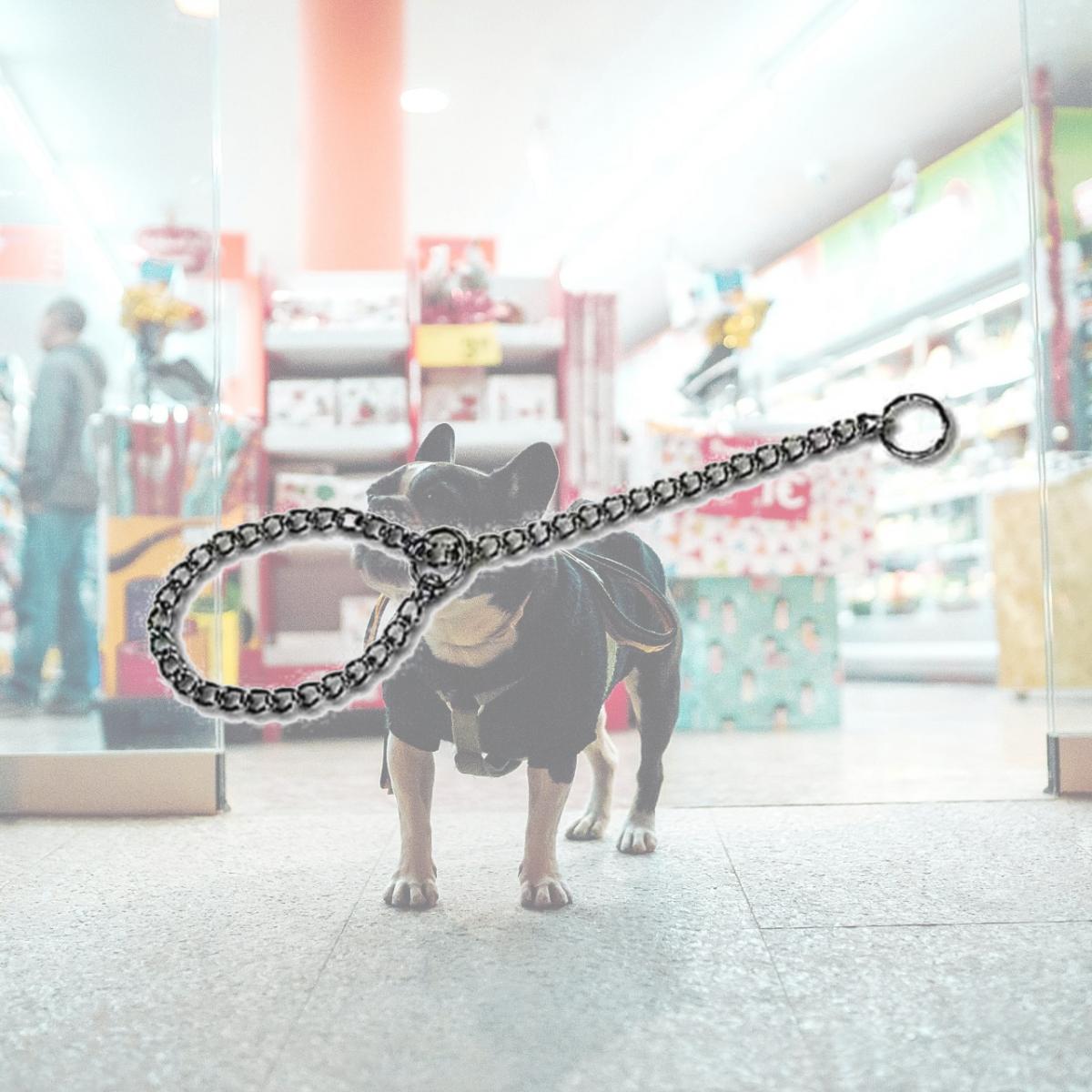 Picture of Leather Brothers 161-20 204.0 mm x Heavy Choke Chain - 20 in.