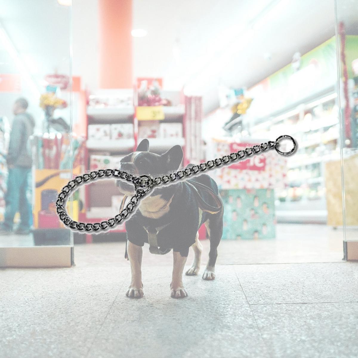 Picture of Leather Brothers 161-24 244.0 mm x Heavy Choke Chain - 24 in.