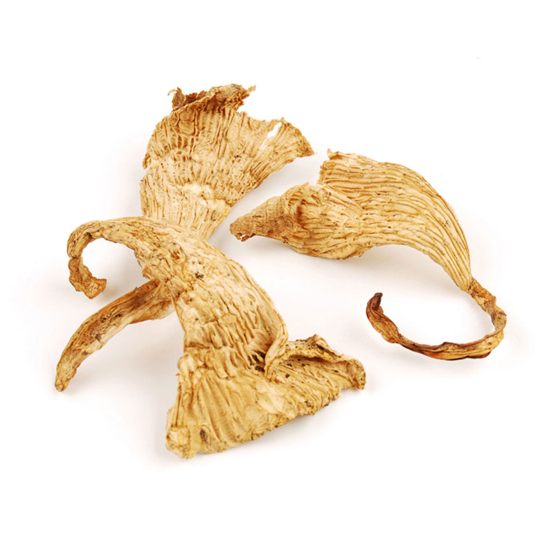 Picture of Woodland Foods 344769 1 lbs Pale Gold to Brown Chanterelles