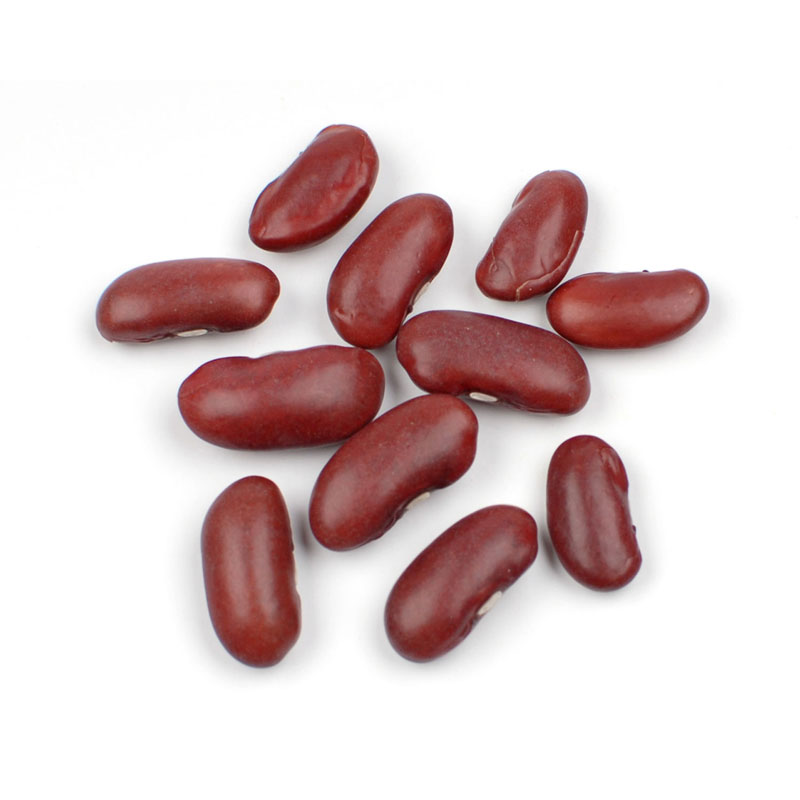 Picture of D Allesandro 039627 10 lbs Box Organic Dark Red Kidney Beans