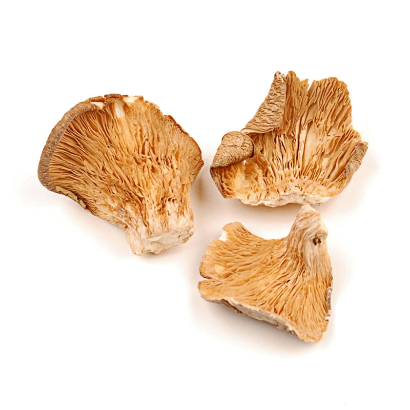 Picture of Woodland Foods 259537 Organic Dried Oyster Mushrooms&#44; 1 Pound Bag
