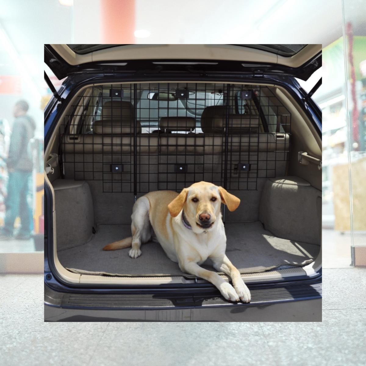 Picture of Win World 21651 Advantek Universal SUV Car Pet Barrier