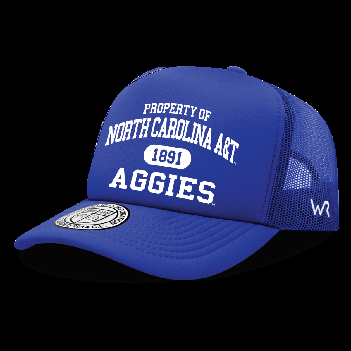 North Carolina A&T University Baseball Jersey - Blue