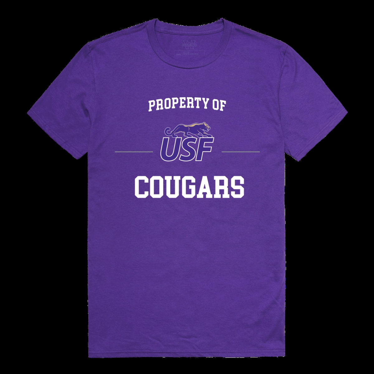 517-380-PUR-05 University of Sioux Falls Cougars Property College T-Shirt, Purple - 2XL -  W Republic